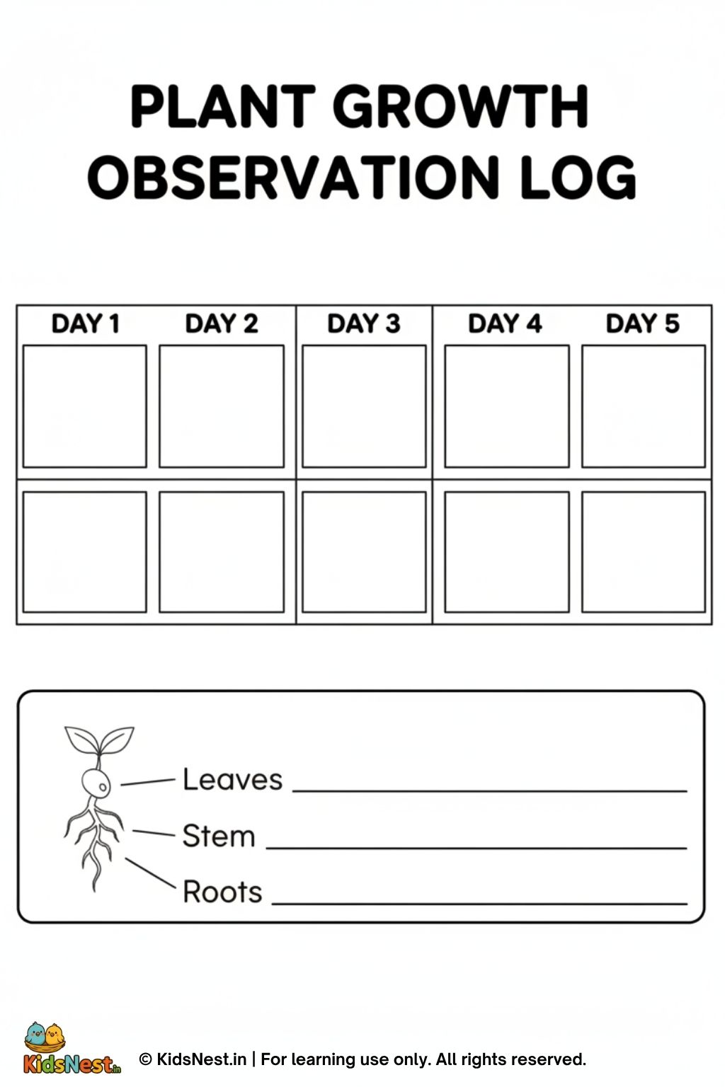 Printable Plant Growth Worksheet | Kids Science Activity