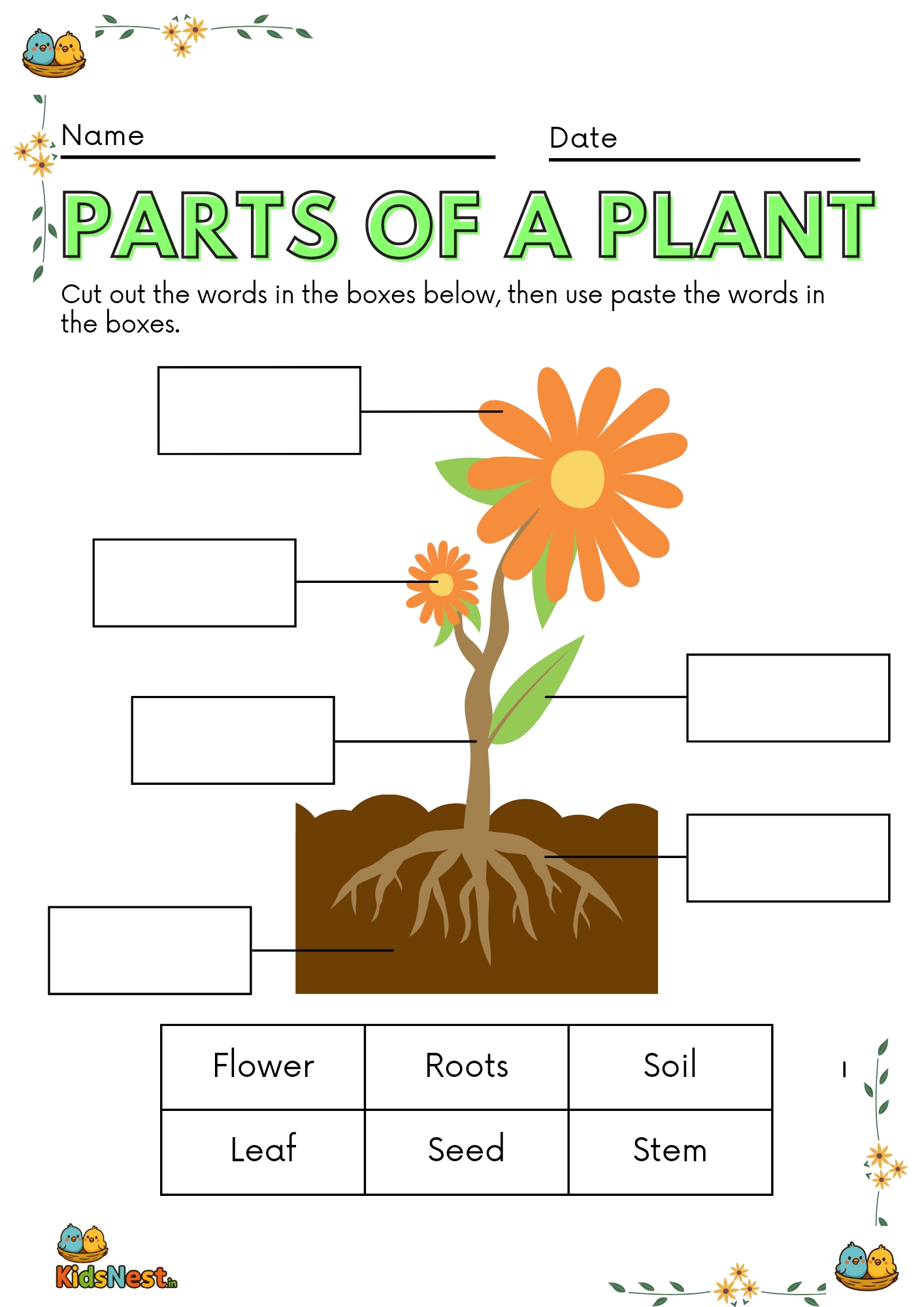 Parts of a Plant Worksheet | Kids Printable Activity
