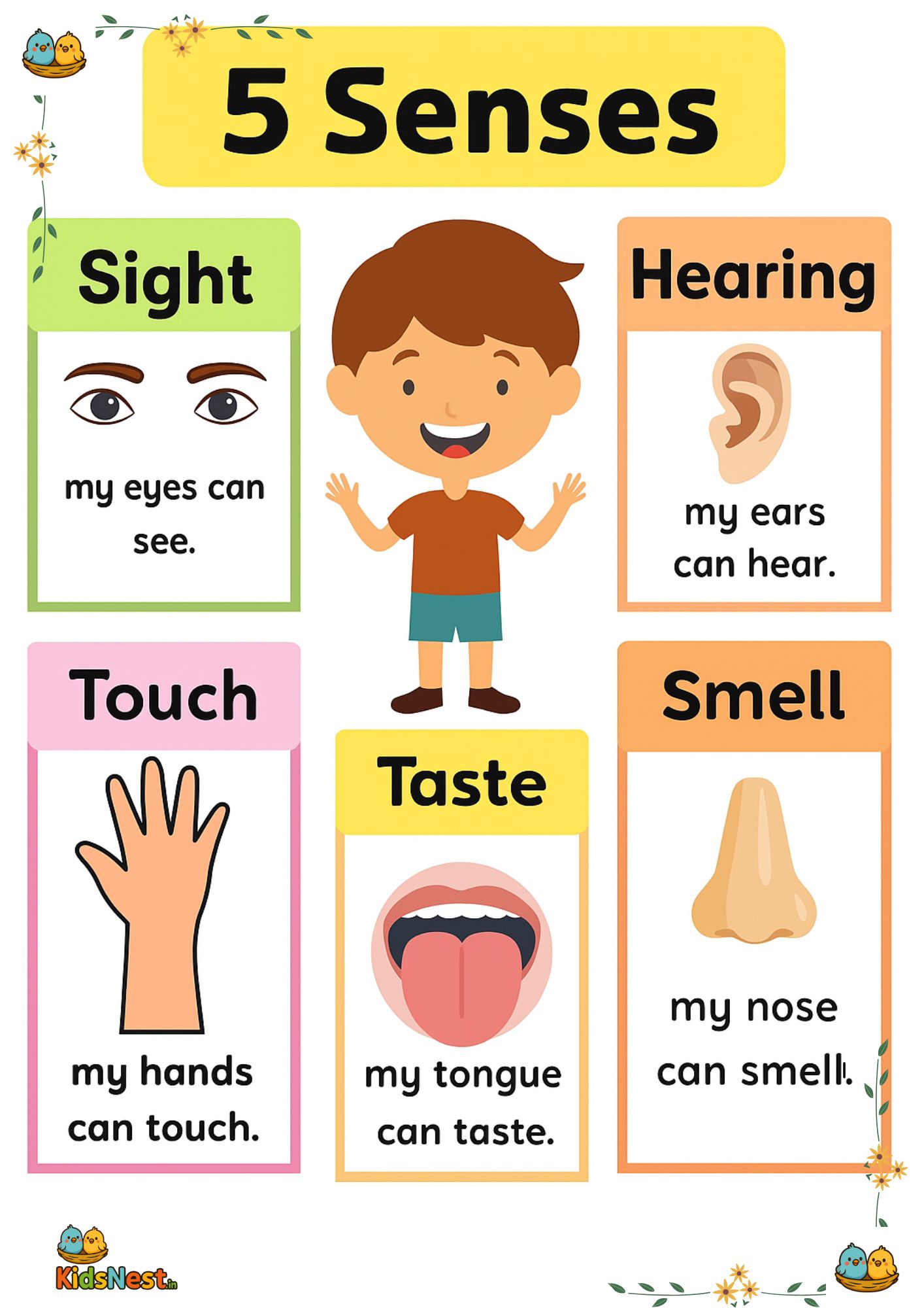 5 Senses Chart Poster: Printable Activity for Kids