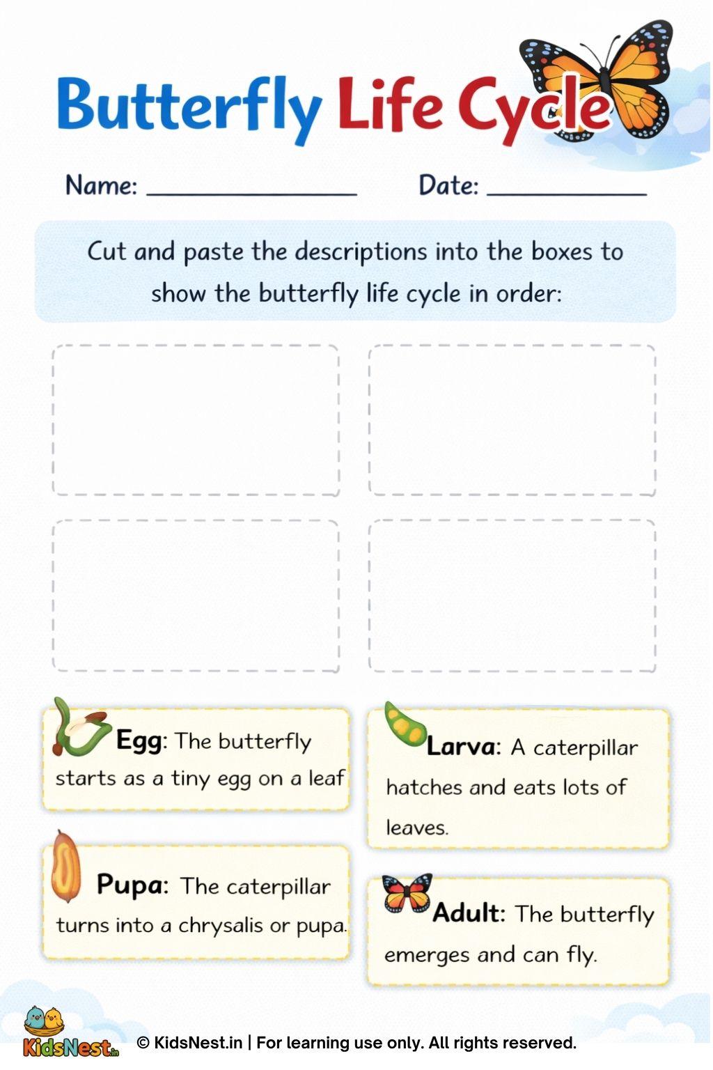 Butterfly Life Cycle Worksheet | Printable for Kids