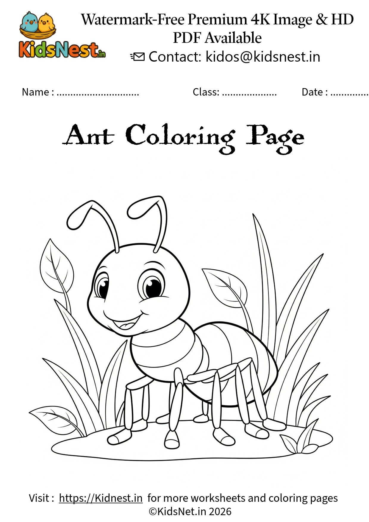 Cute Ant Coloring Page - Free Printable for Kids