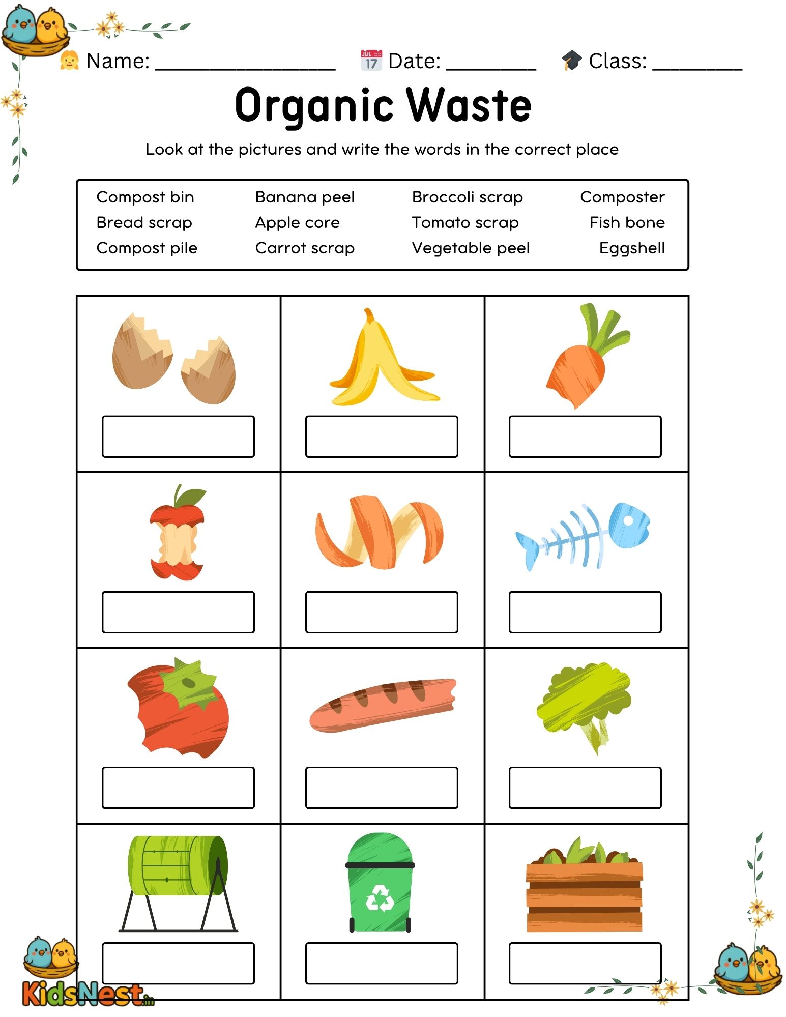 Organic Waste Activity for Kids | Printable Worksheet