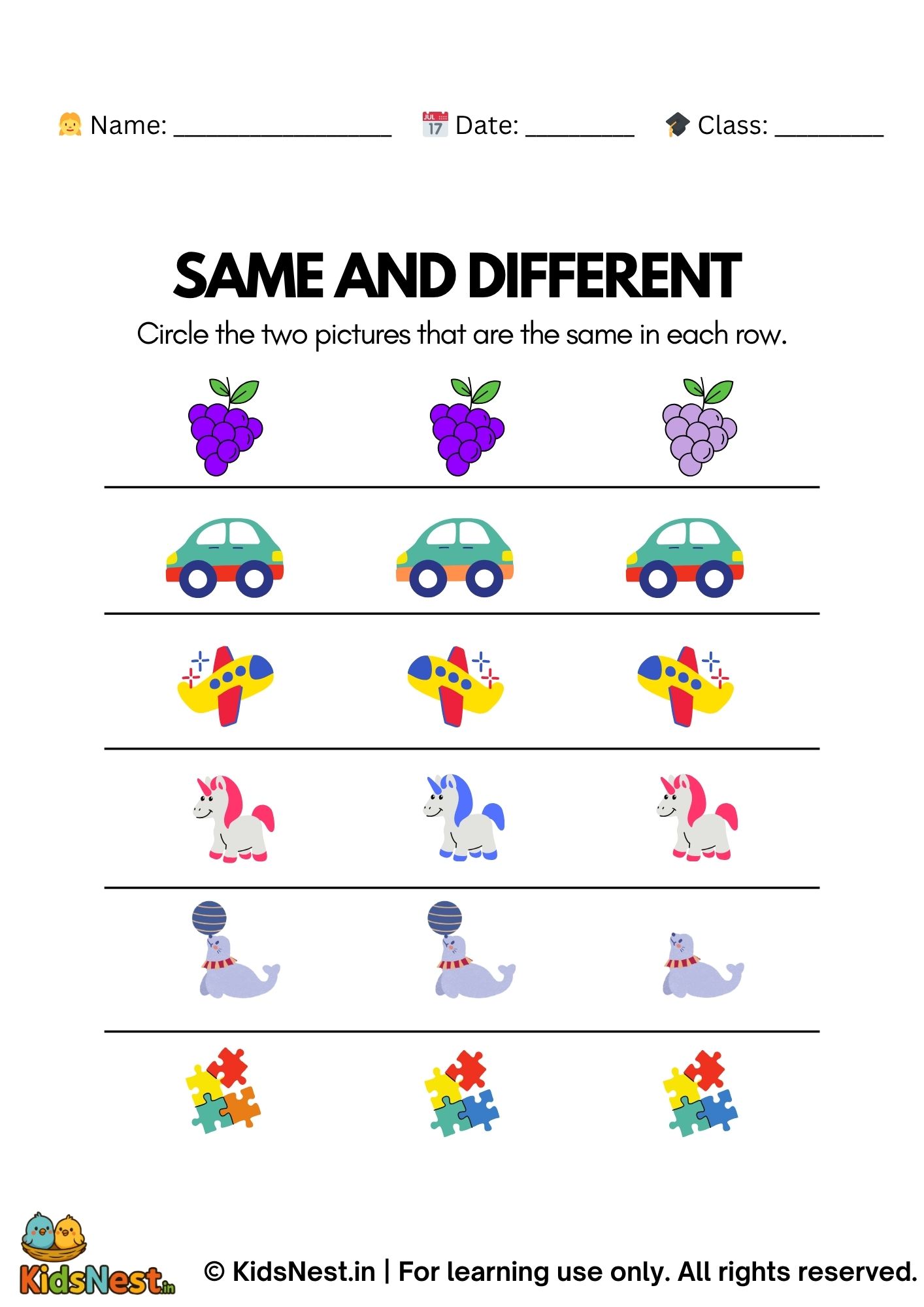 Same and Different Identification worksheet for kids