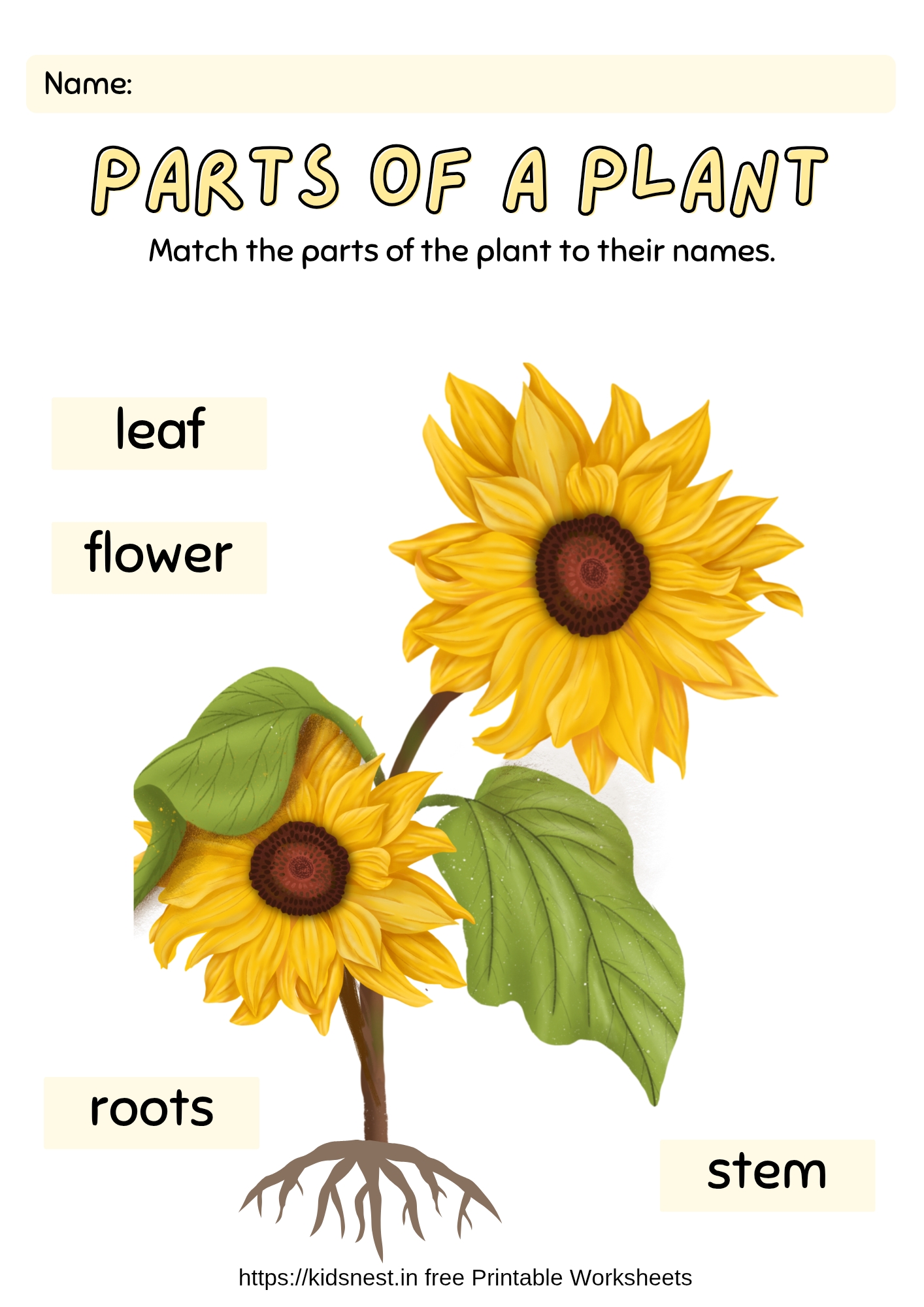 Printable Parts of a Plant Worksheet | Science Activity for Kids