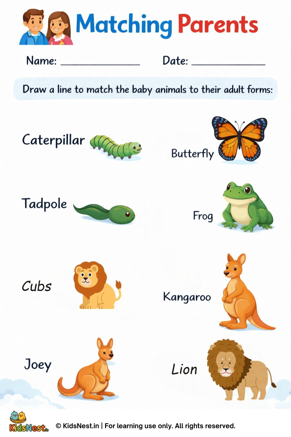 Printable Animal Matching Worksheet | Baby & Adult Animals