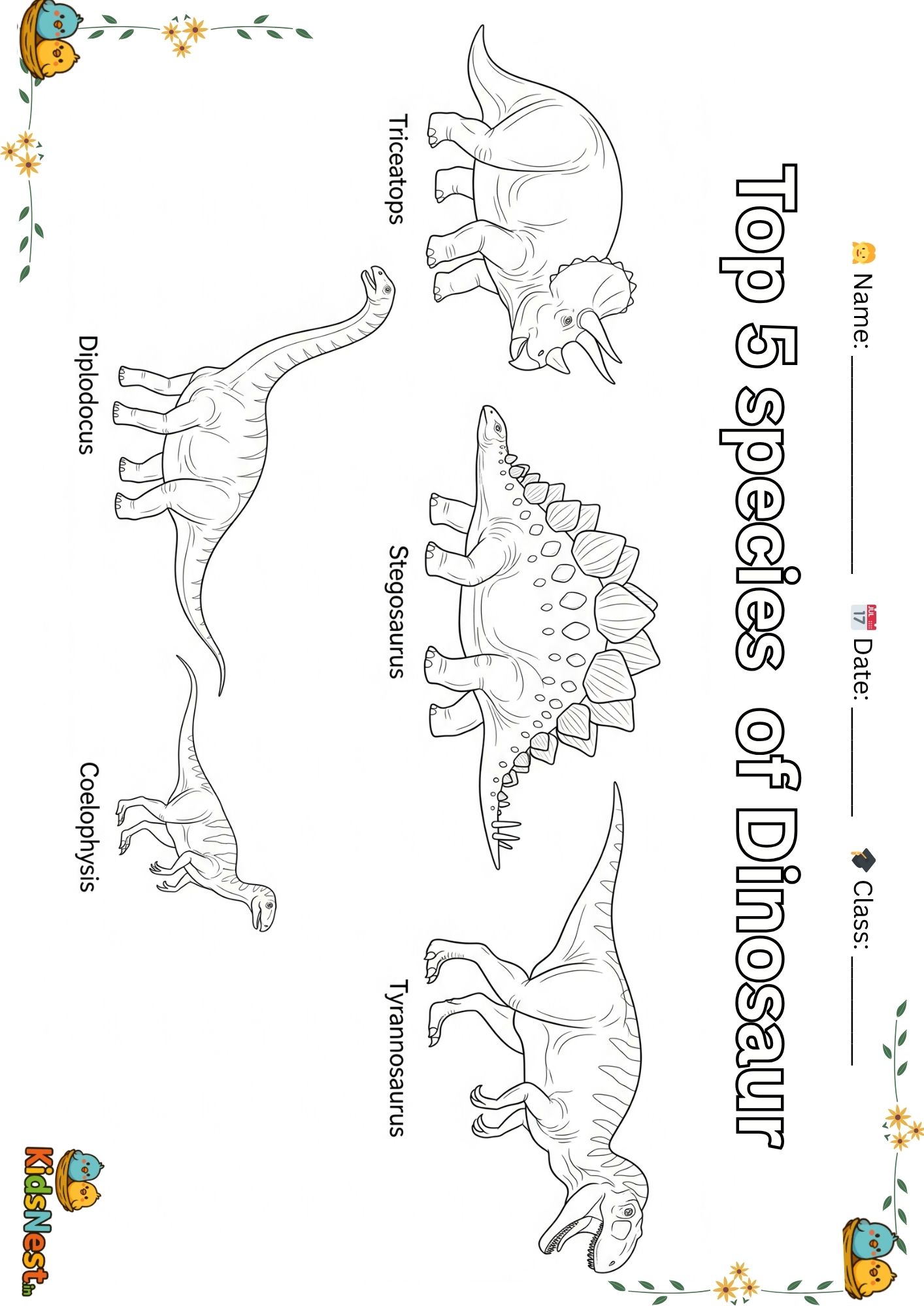 Top 5 Dinosaur Species Worksheet | Printable Kids Activity