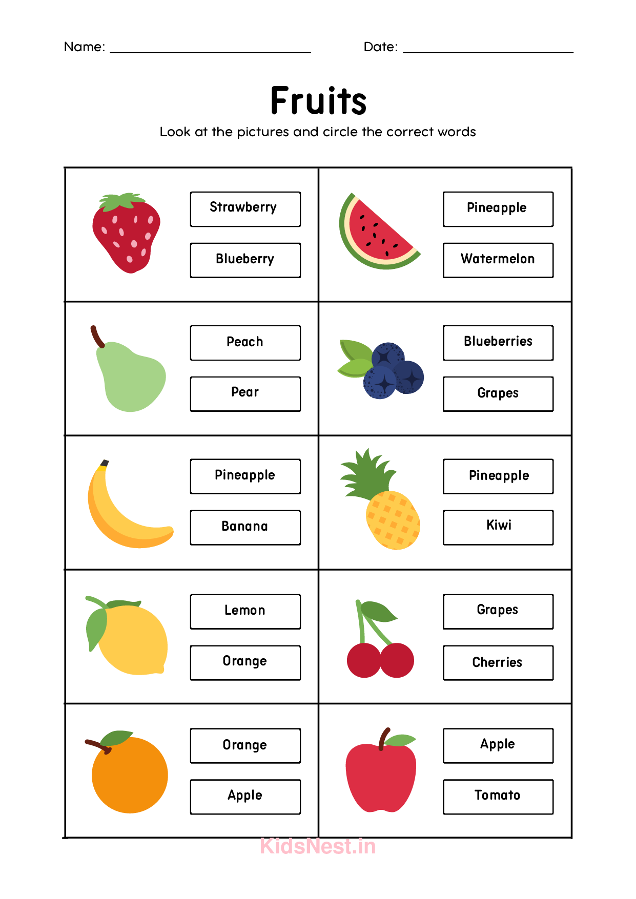 Circle the Correct | Printable Kids Worksheets & Activities