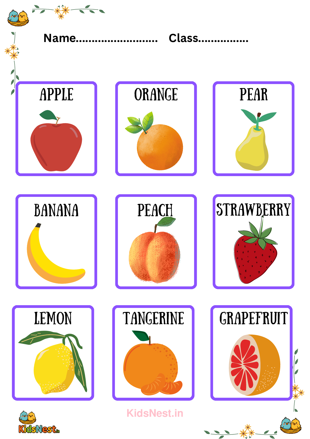 Kids Fruit Flashcards | Printable Learning Activities
