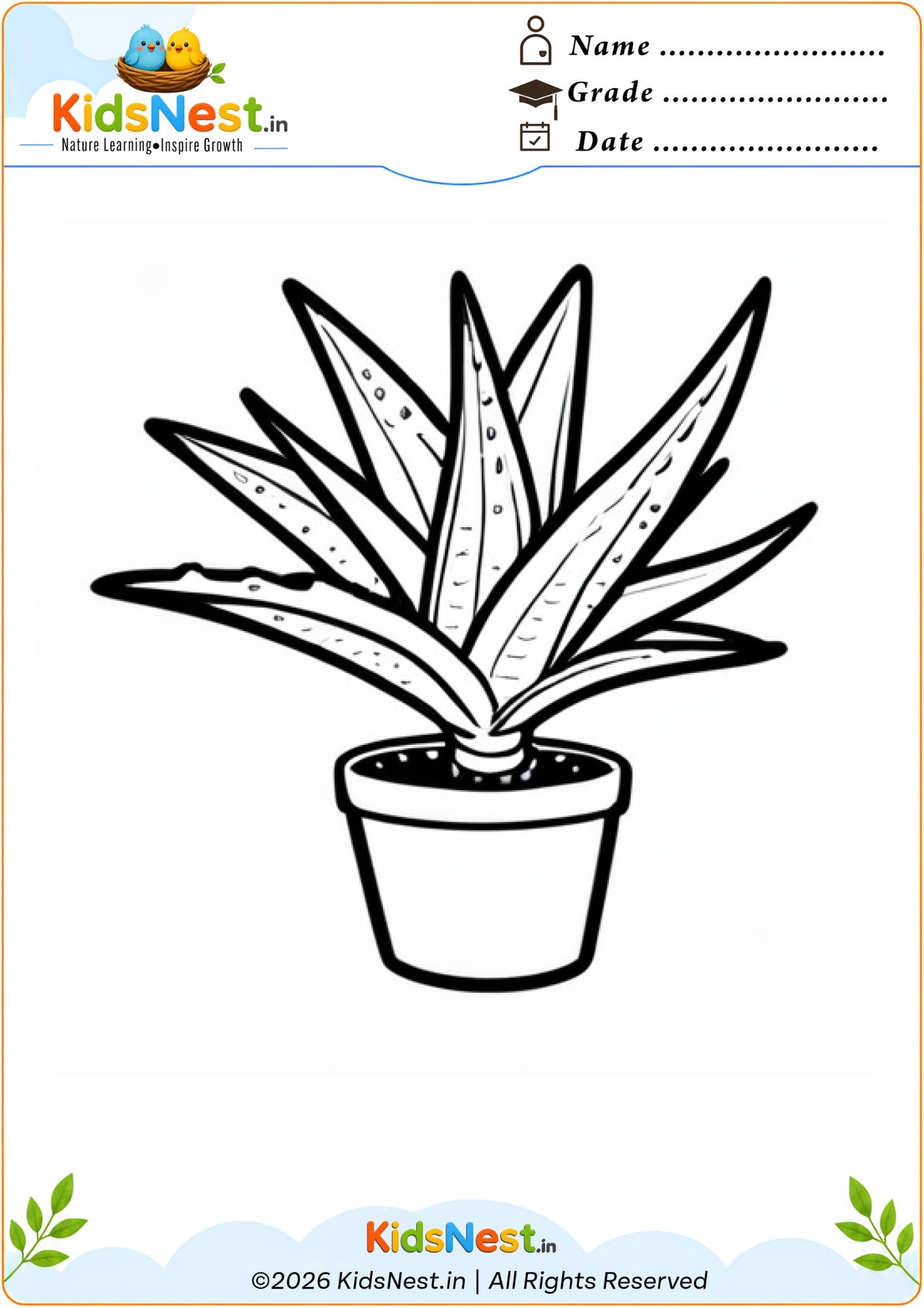 Aloe Vera Plant Coloring Worksheet for Kids | Free Printable