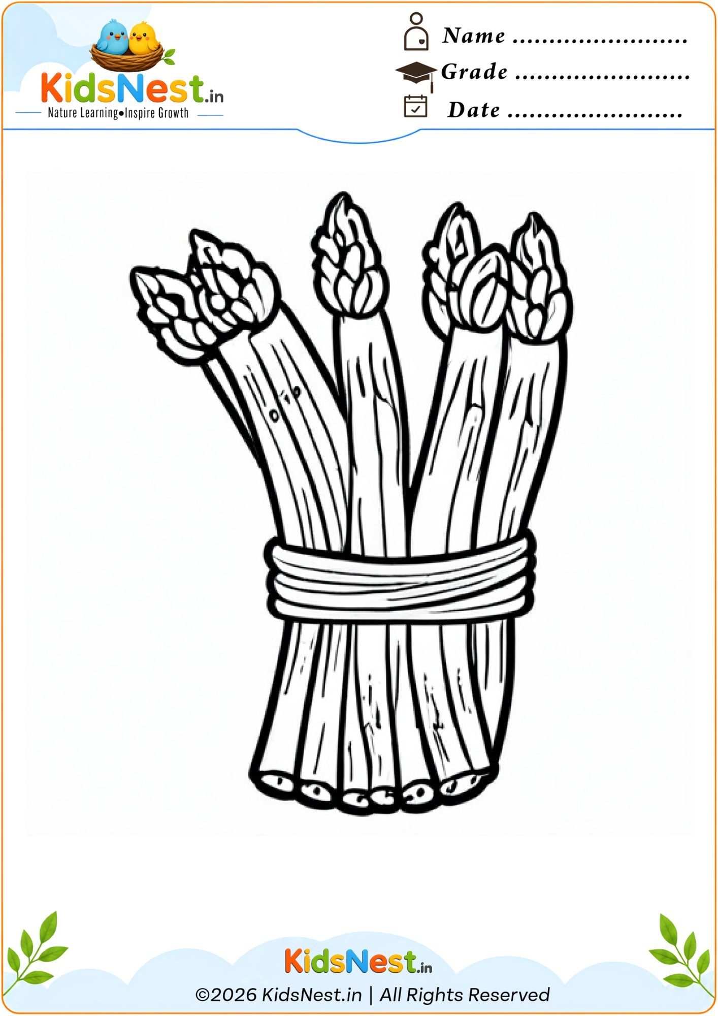 Free Asparagus Bunch Coloring Worksheet for Kids | Printable