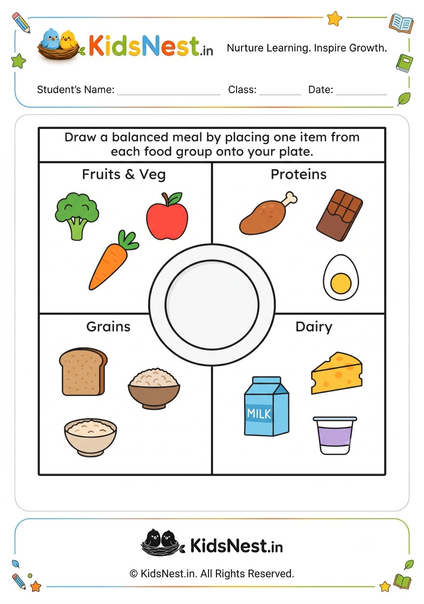 Balanced Meal Food Groups Drawing Worksheet | Kids Nutrition