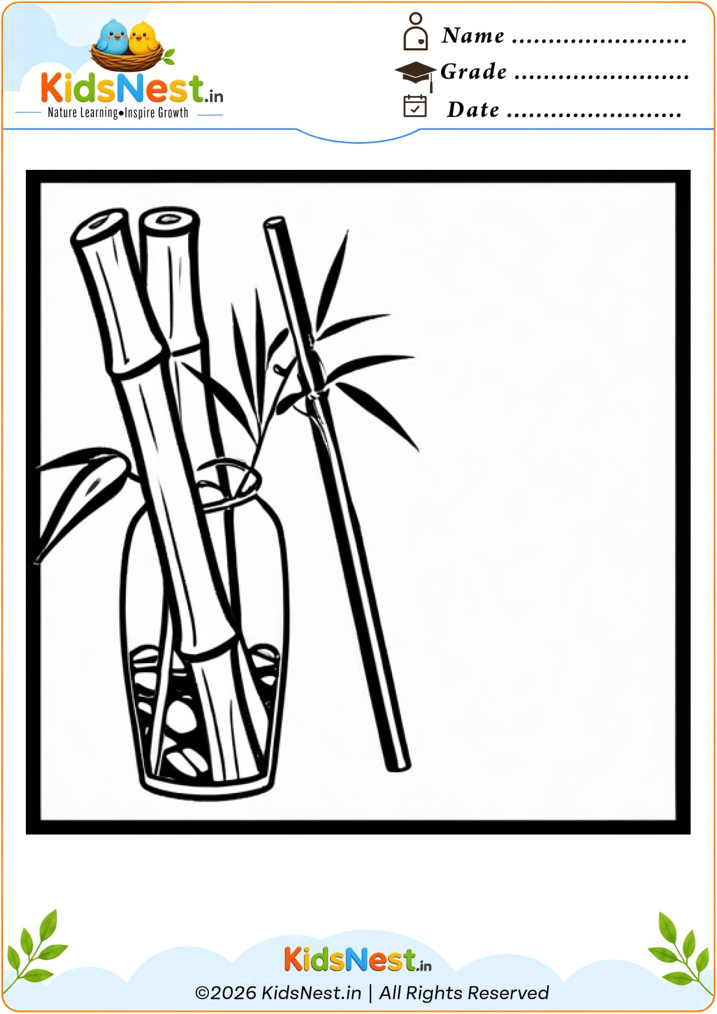 Bamboo Plant Coloring Worksheet | Free Printable for Kids