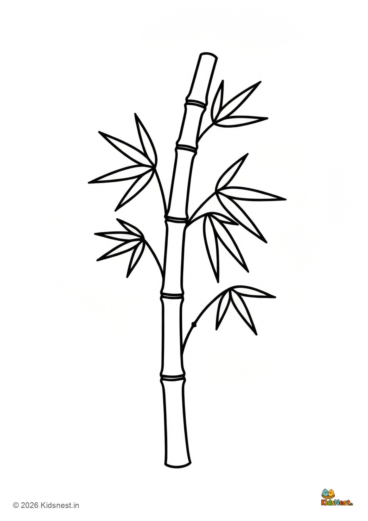 Bamboo Plant Colouring Page for Kids | Free Printable