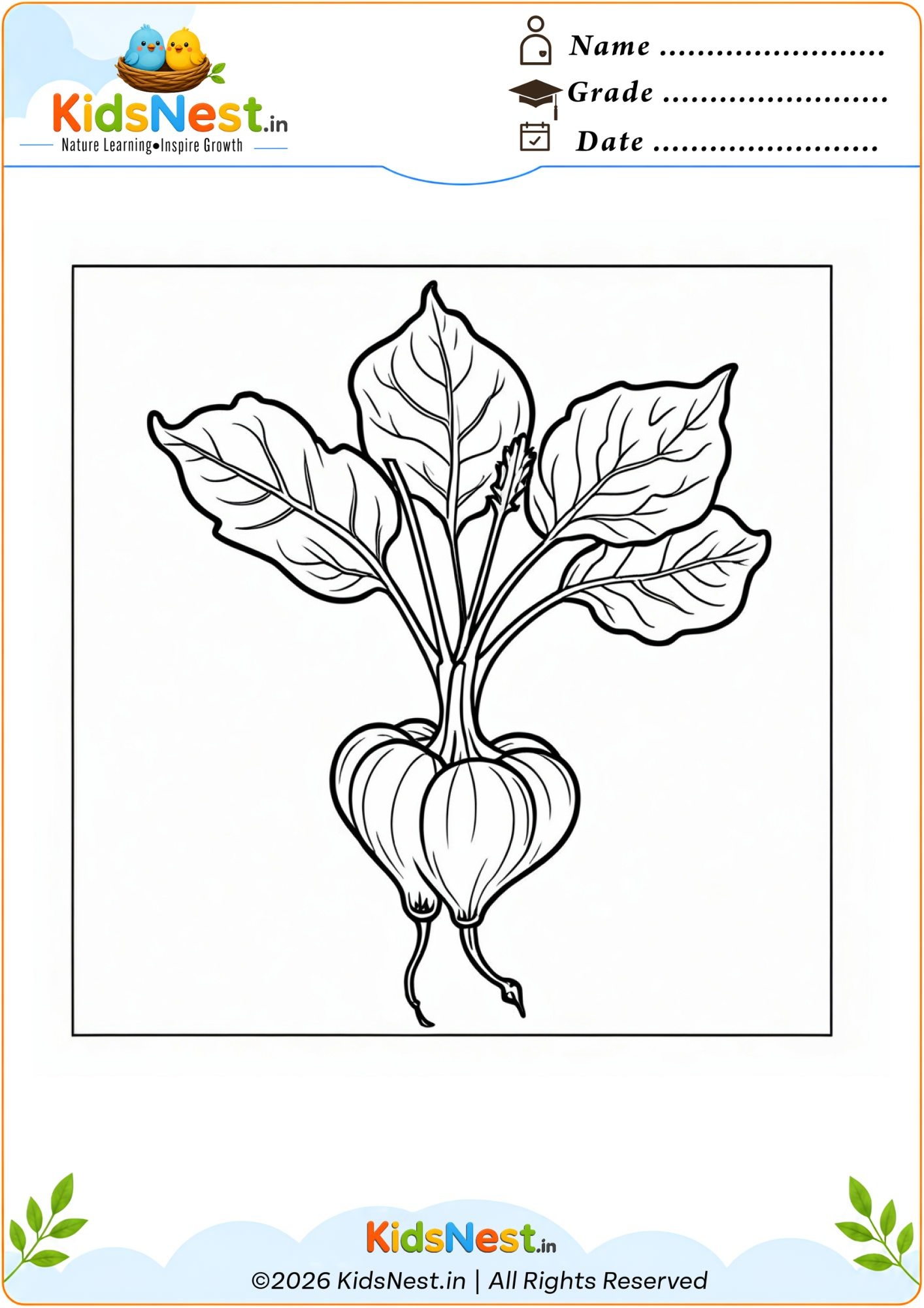 Free Printable Beetroot Coloring Page for Kids | Educational