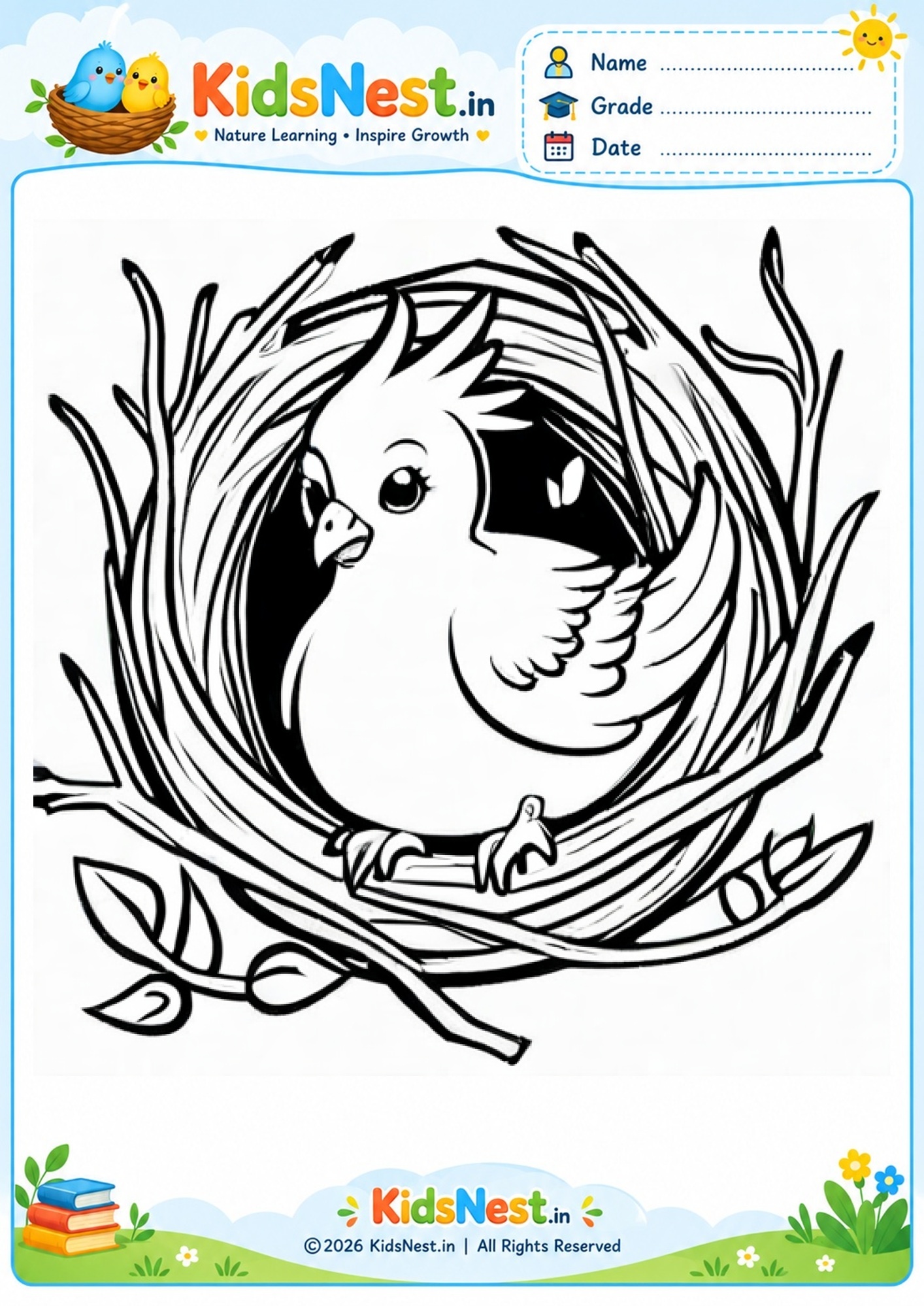 Bird in a Nest Coloring Activity | Free Printable for Kids