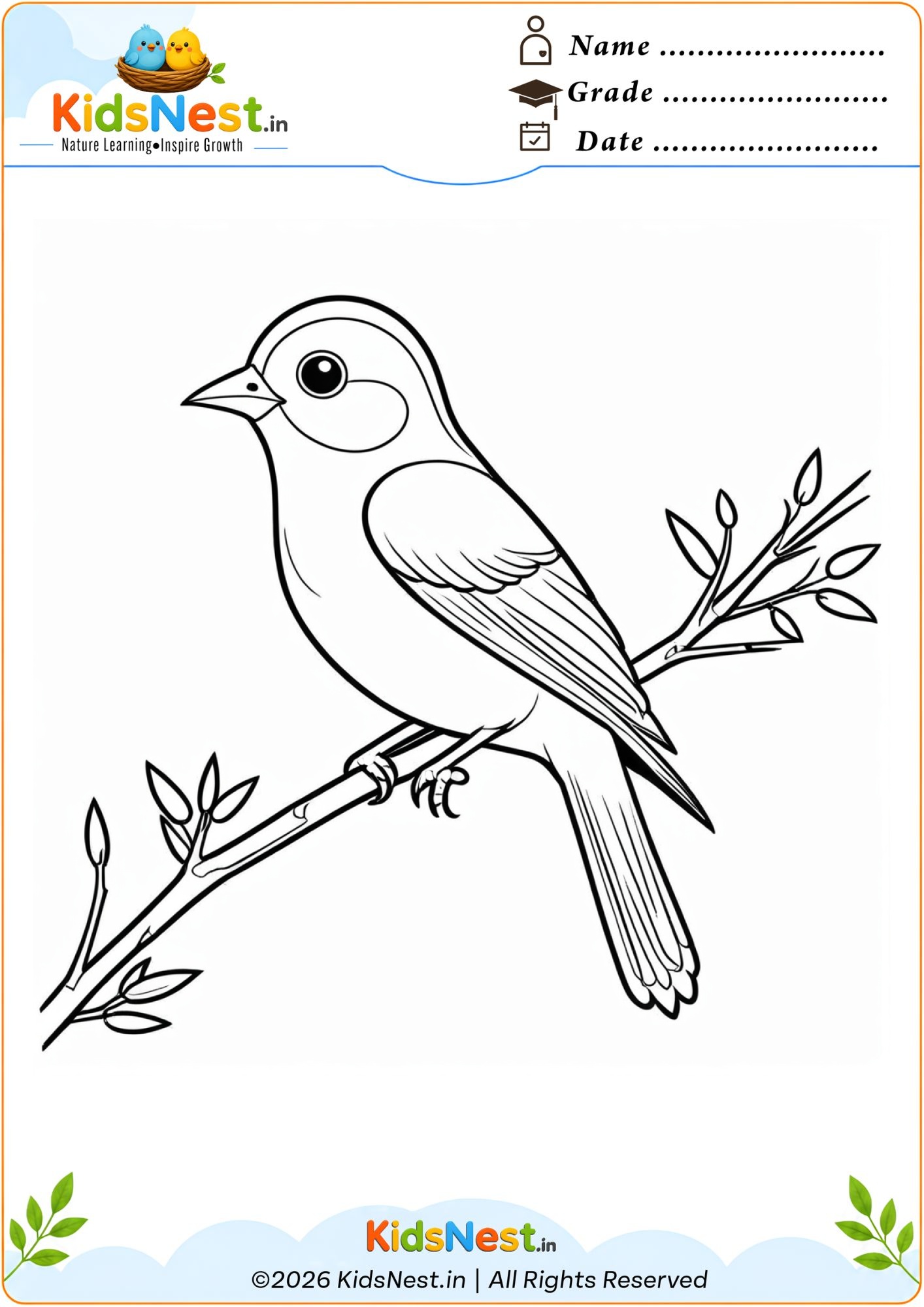 Bird on a Branch Coloring Page | Free Printable for Kids