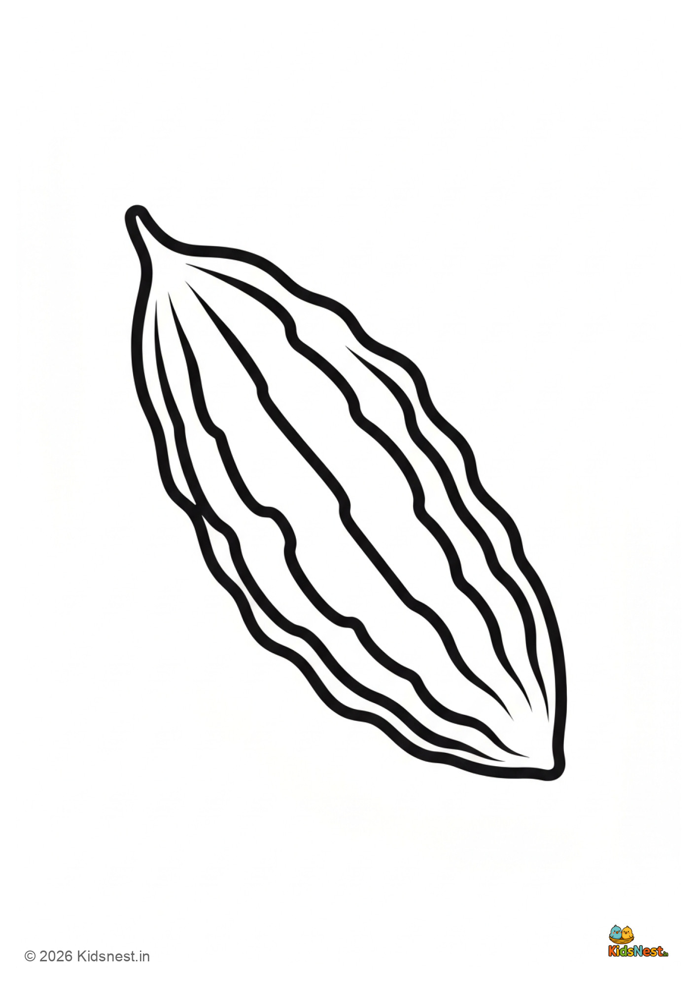 Bitter Gourd Coloring Page for Kids | Printable PDF Worksheet