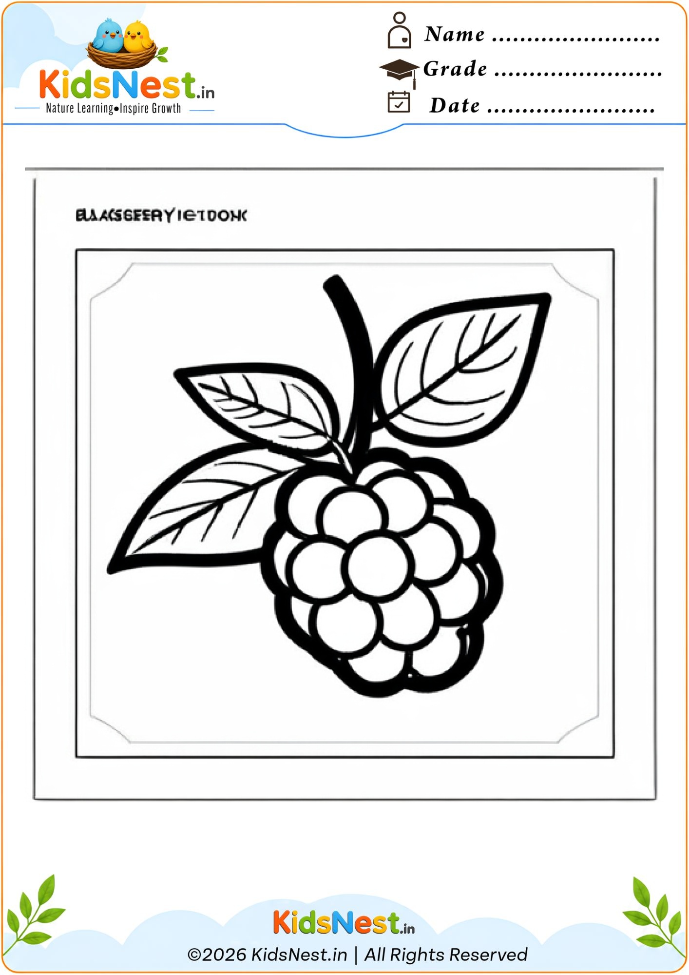 Free Printable Blackberry Coloring Page for Kids