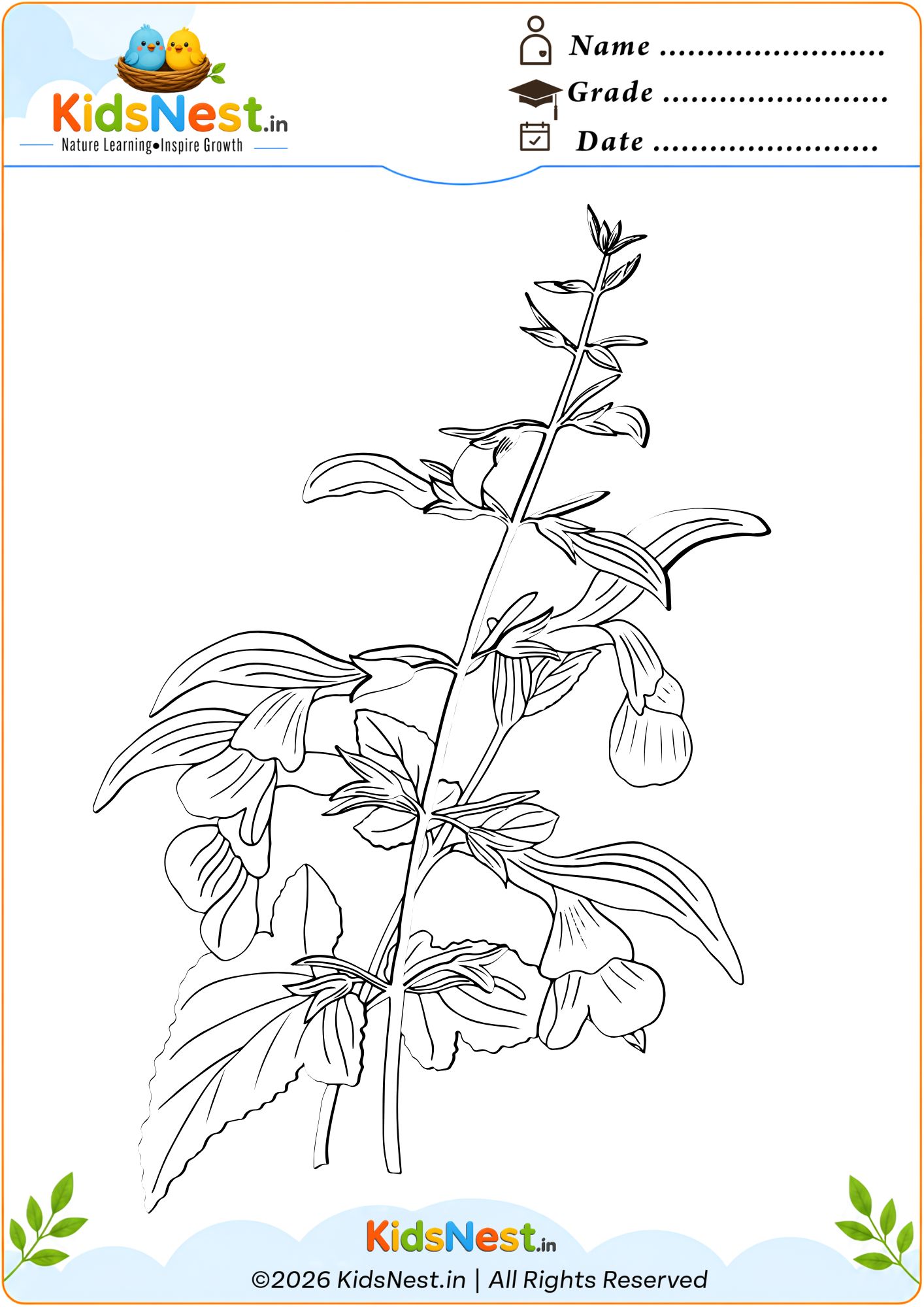 Botanical Coloring Worksheet: Plant Parts for Kids