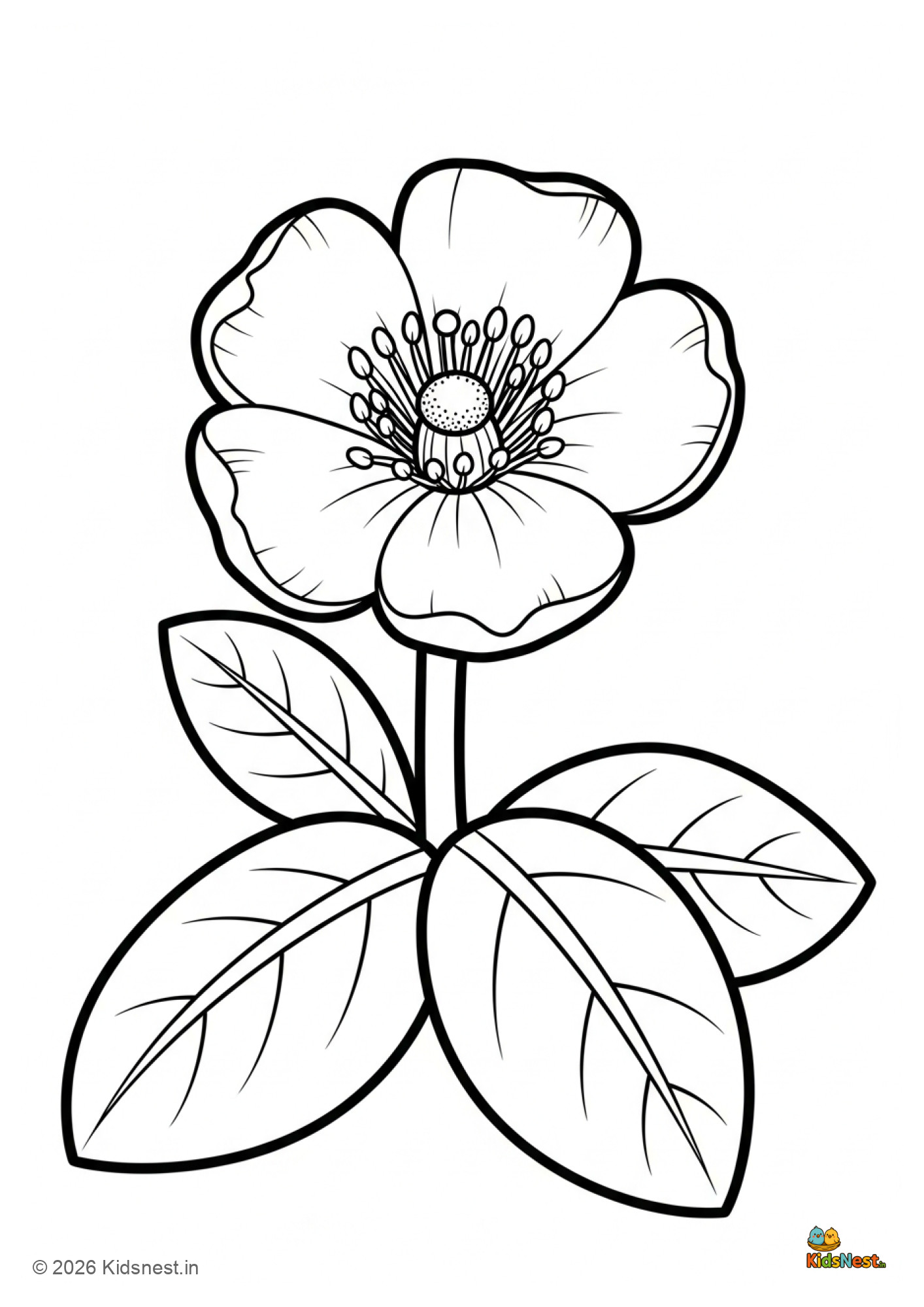 Briwallia Flower Coloring Page for Kids | Printable Worksheet