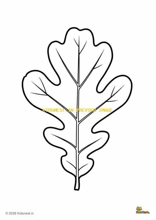 Bur Oak Leaf Coloring Page for Kids | Printable Nature Activity