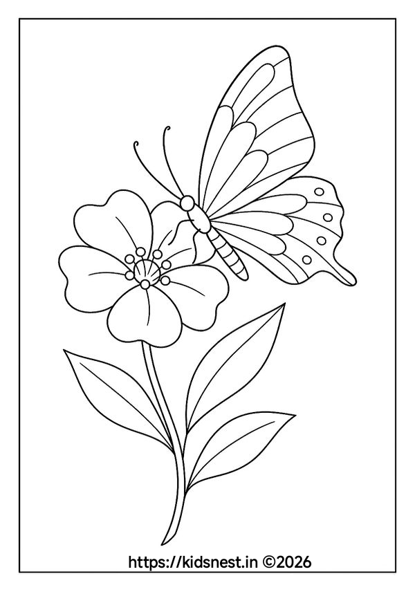 Butterfly and Flower Colouring Page for Kids | Free Printable