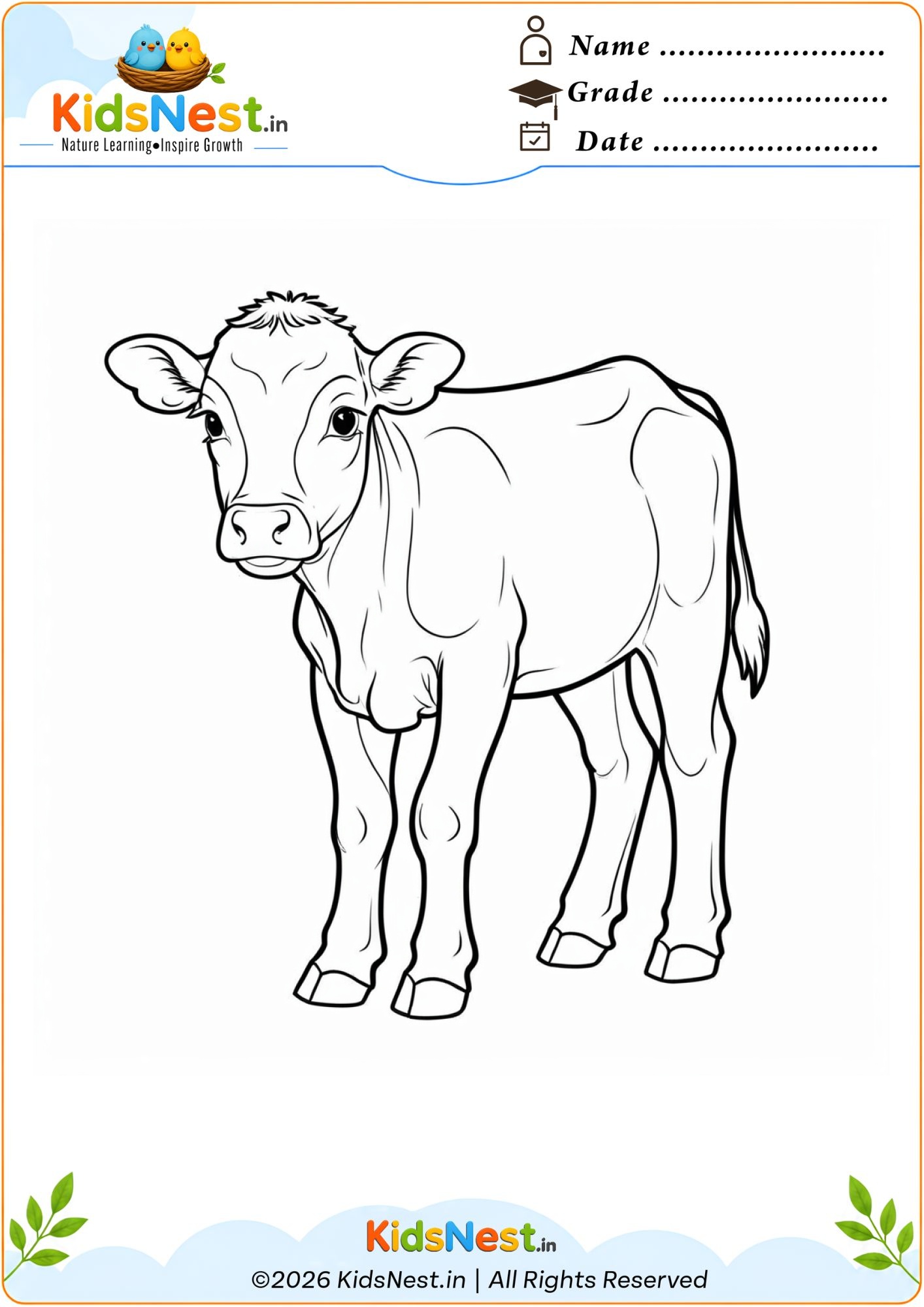 Printable Cute Calf Coloring Page for Kids | Free Activity