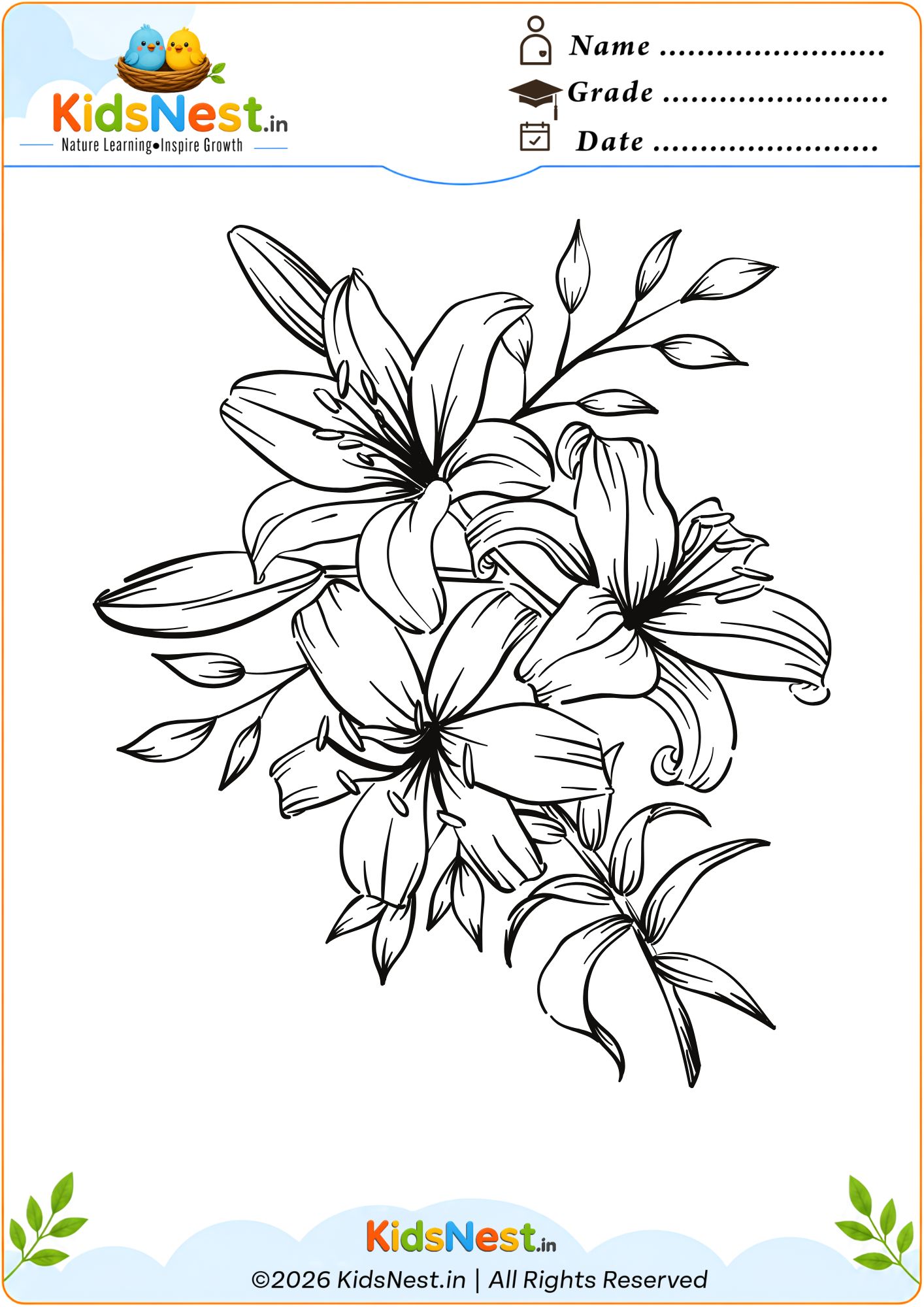 Printable Elegant Lily Coloring Page for Kids | Educational Art