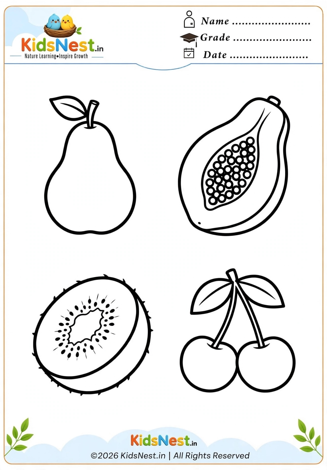 Printable Assorted Fruits Coloring Page for Kids | Free PDF