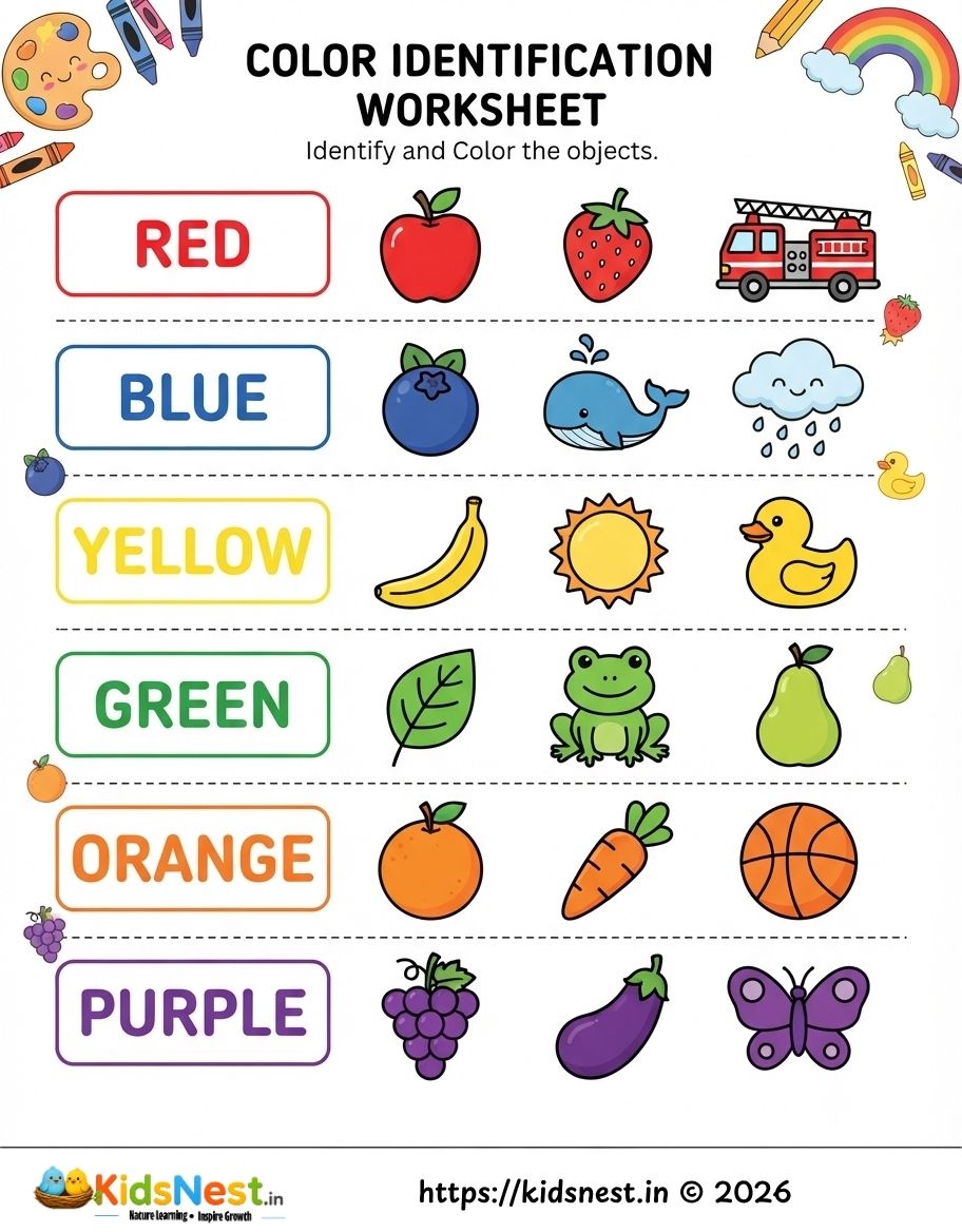Color Identification Worksheet for Kids | Printable Activity