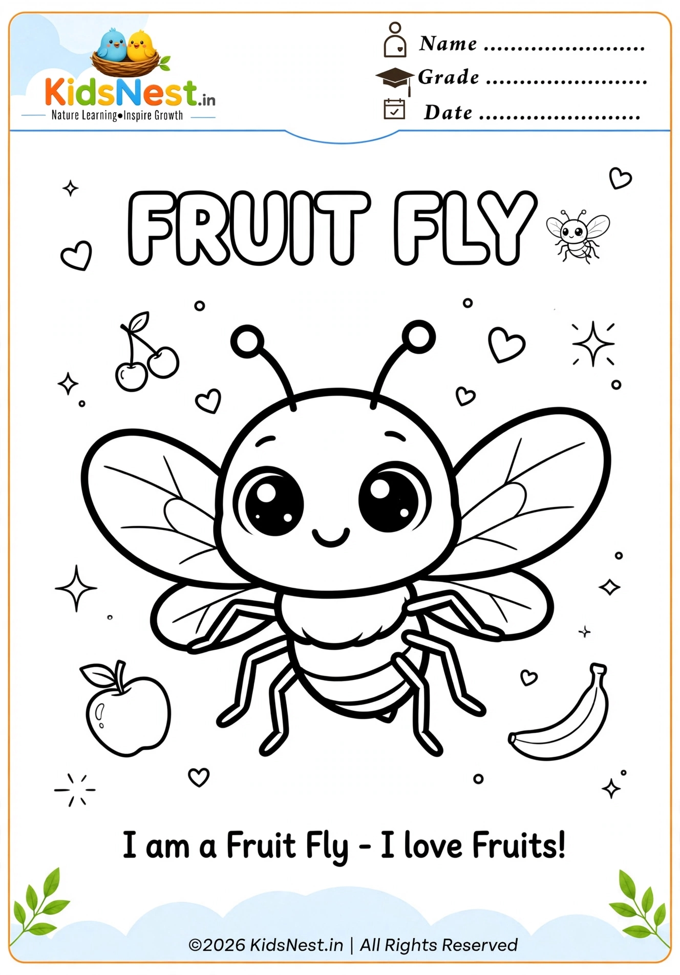Cute Fruit Fly Coloring Page for Kids | Free Printable