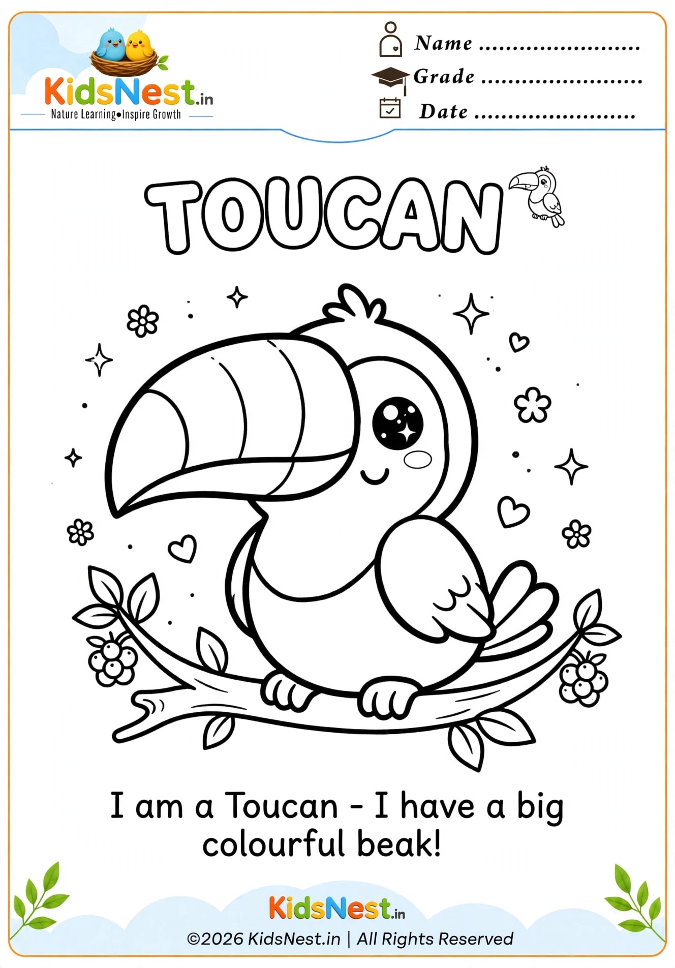 Cute Toucan Coloring Page for Kids | Printable PDF Activity