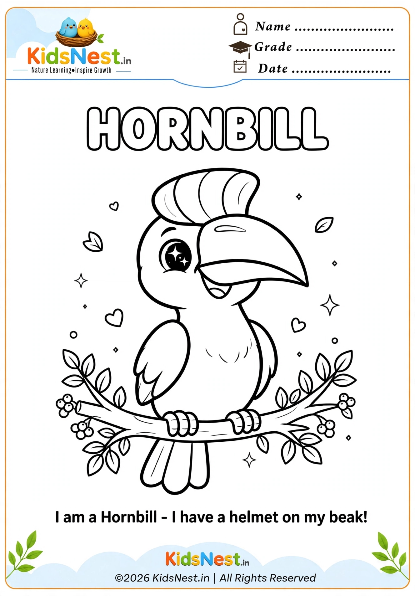 Free Printable Hornbill Coloring Page for Kids | Educational Art