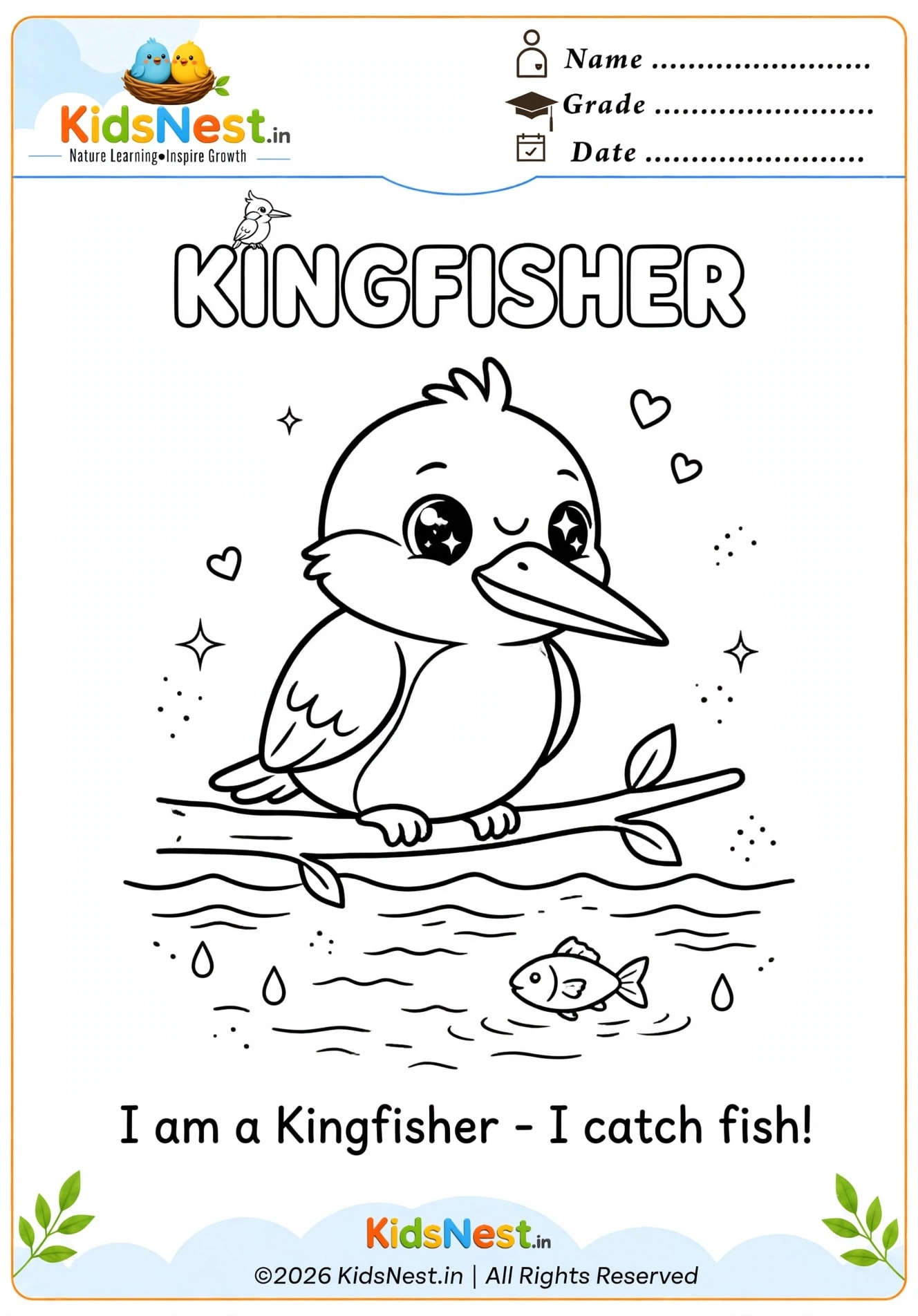 Printable Kingfisher Coloring Page for Kids | Free PDF Worksheet