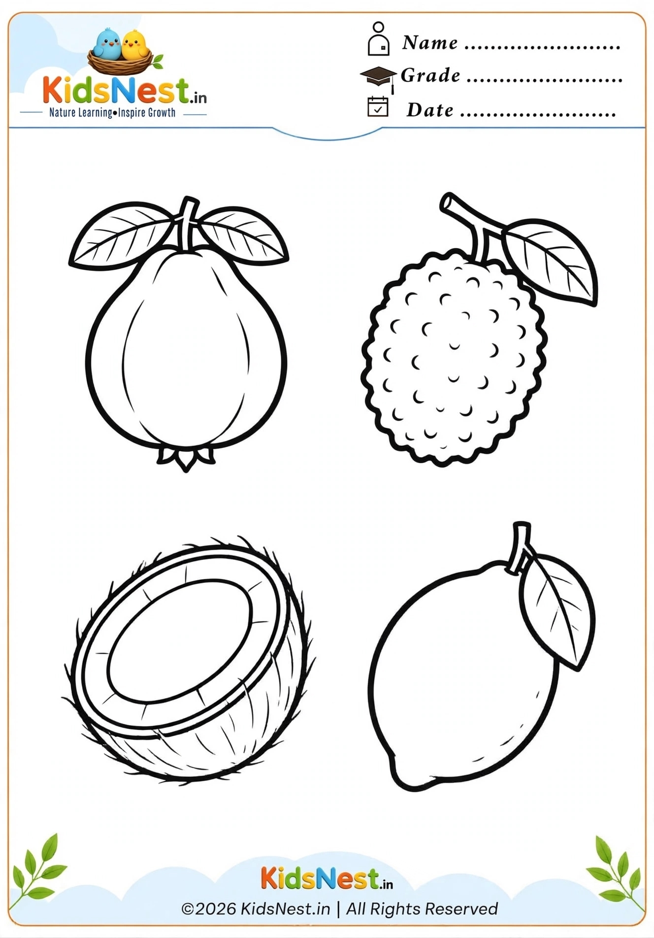 Printable Tropical and Citrus Fruit Coloring Pages for Kids