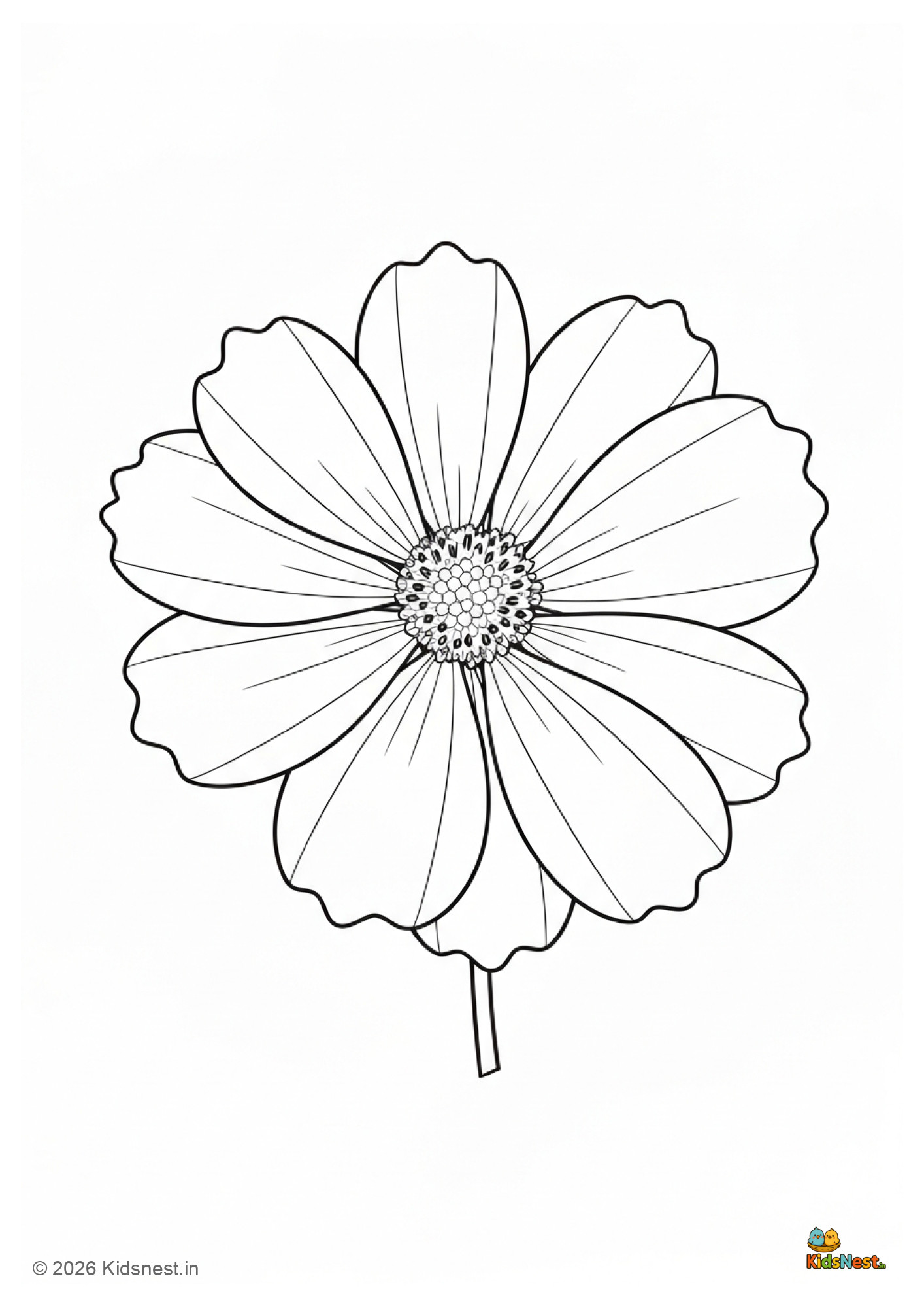 Cosmos Flower Coloring Page for Kids | Free Printable PDF