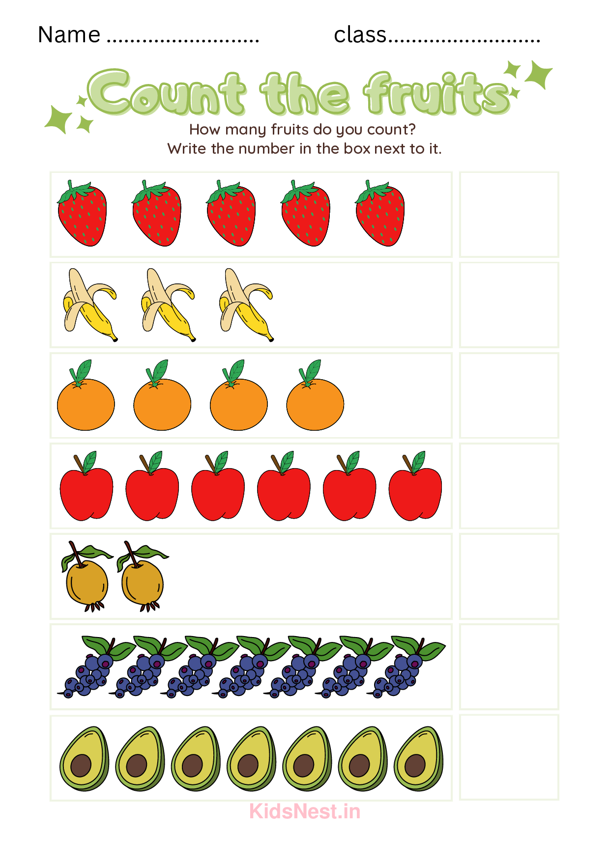 Count the Fruits Worksheet | Printable Math Activity for Kids
