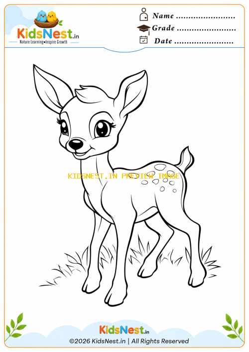 Cute Deer Coloring Activity Sheet for Kids | Free Printable