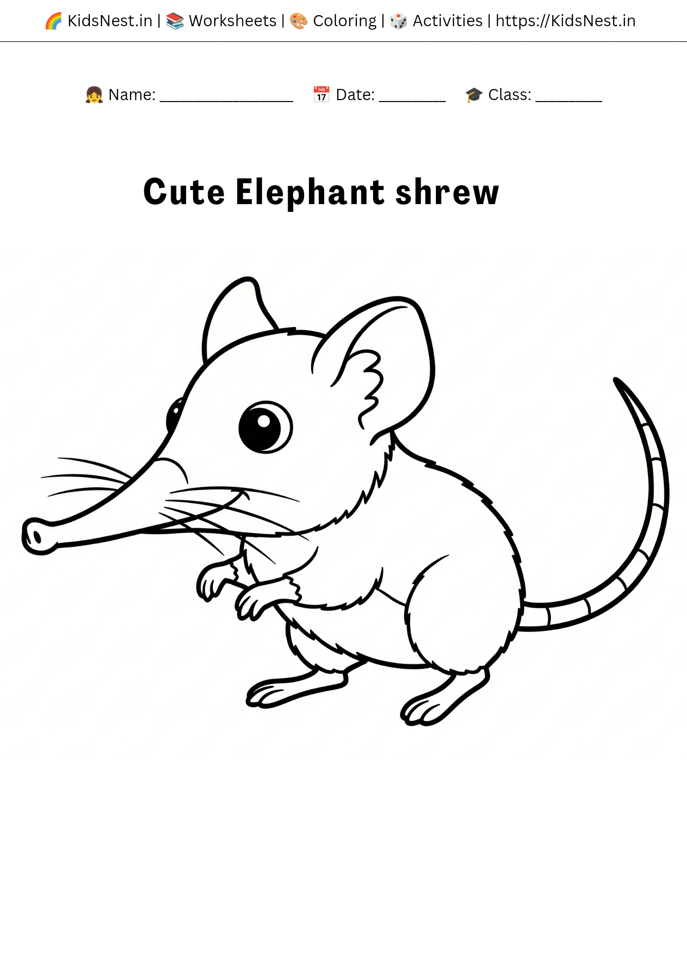 Cute Elephant Shrew Coloring Page | Free Printable for Kids
