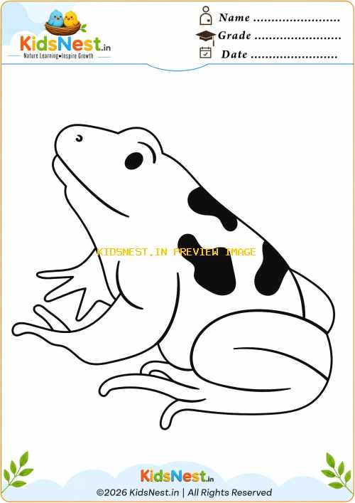 Cute Frog Coloring Page for Kids | Free Printable Worksheet