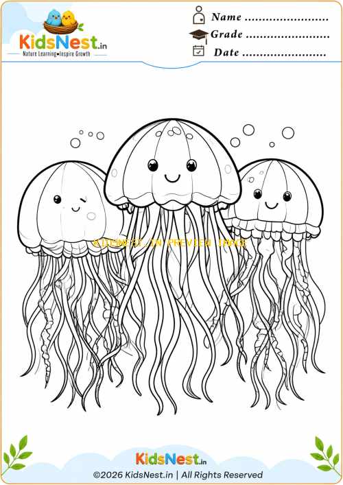 Cute Jellyfish Coloring Page for Kids | Free Printable PDF