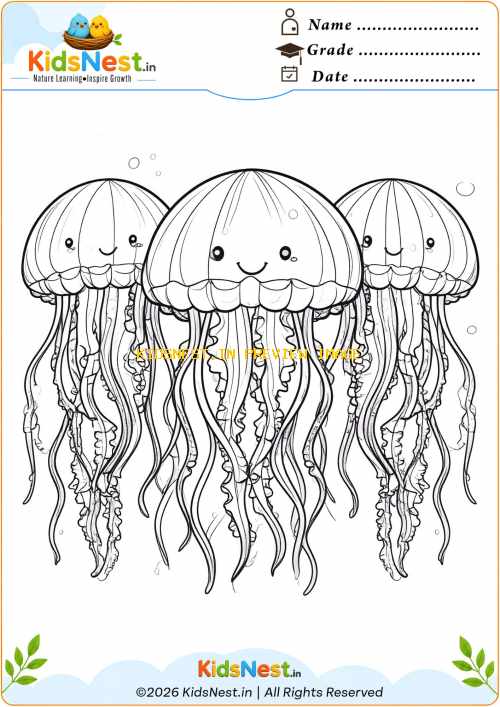 Cute Jellyfish Coloring Page for Kids | Free Printable