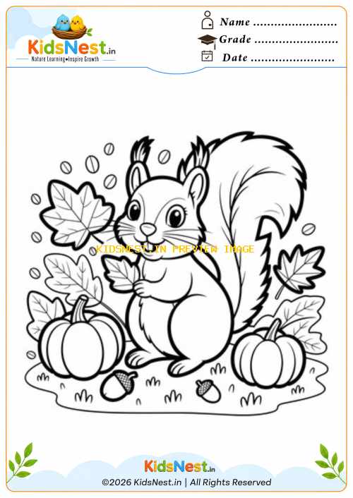 Cute Squirrel Autumn Coloring Page for Kids | Free Printable