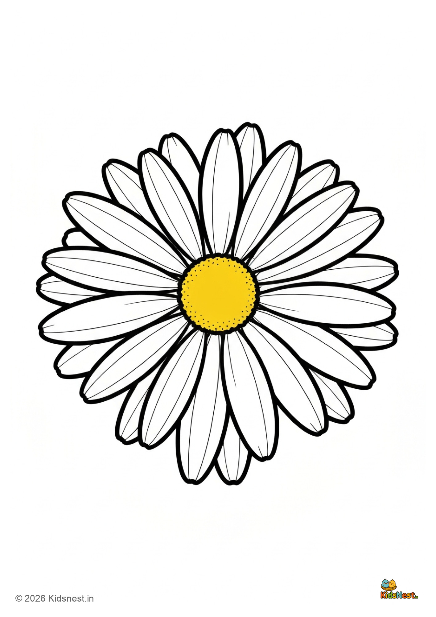 Daisy Flower Coloring Page for Kids | Free Printable PDF