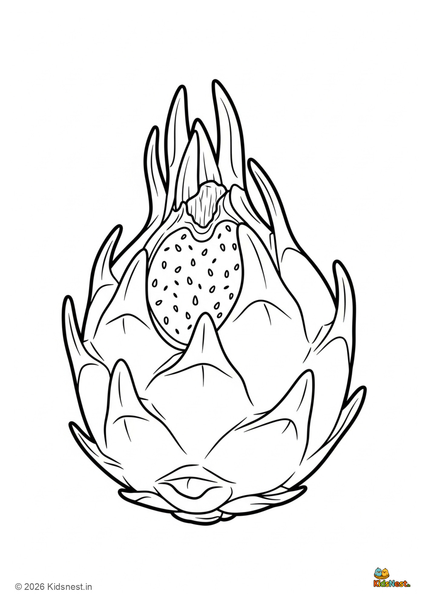 Dragon Fruit Coloring Page for Kids | Free Printable PDF