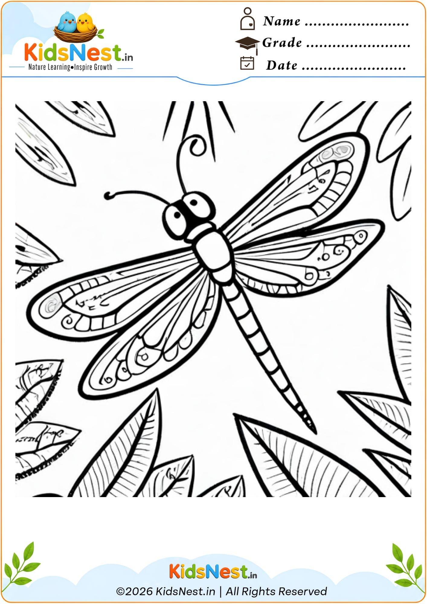 Dragonfly Coloring Worksheet for Kids | Free Printable PDF