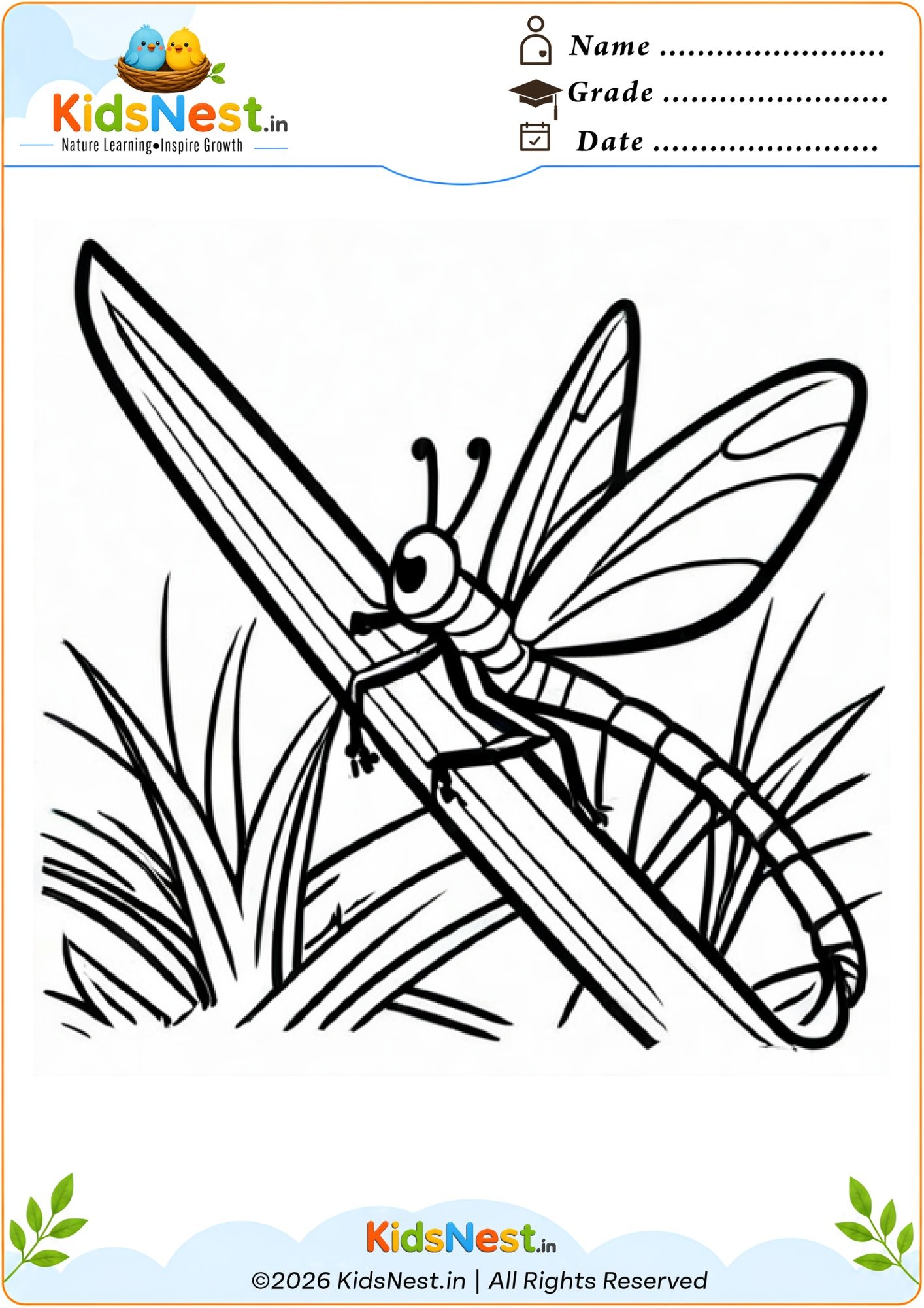 Free Printable Dragonfly Coloring Worksheet for Kids