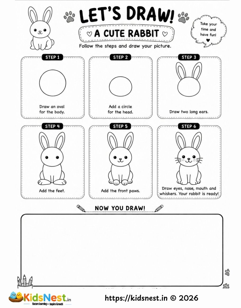 How to Draw a Cute Rabbit: Easy Step-by-Step for Kids