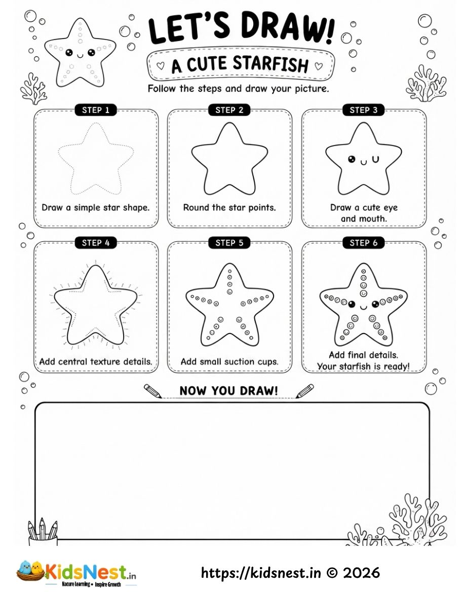 How to Draw a Cute Starfish | Easy Drawing Tutorial for Kids