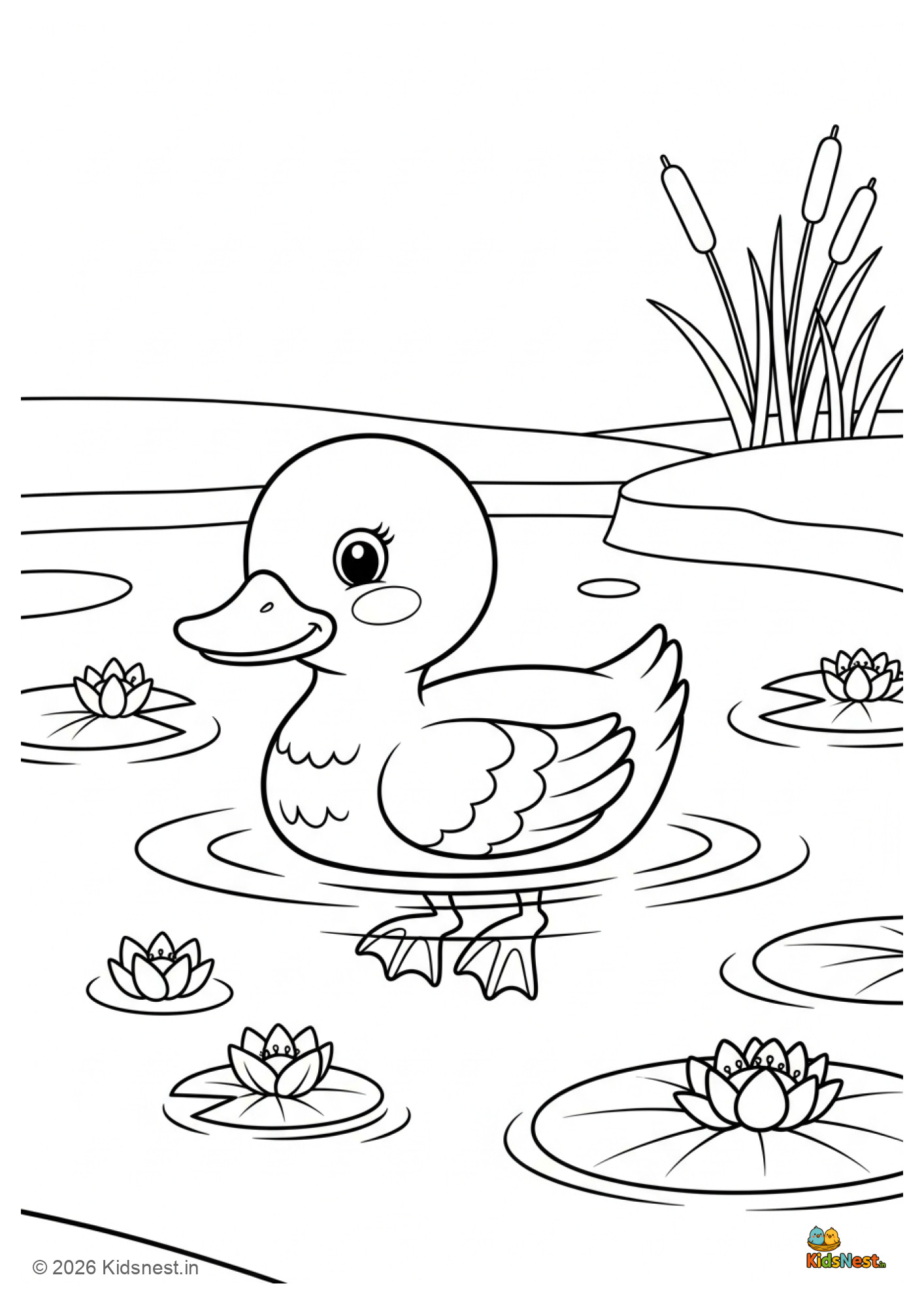 Duck in Pond Coloring Page for Kids | Free Printable PDF